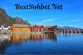 norvec sohbet